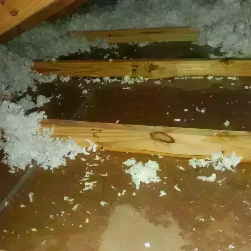 Attic Water Damage in Cumberland Hill, RI