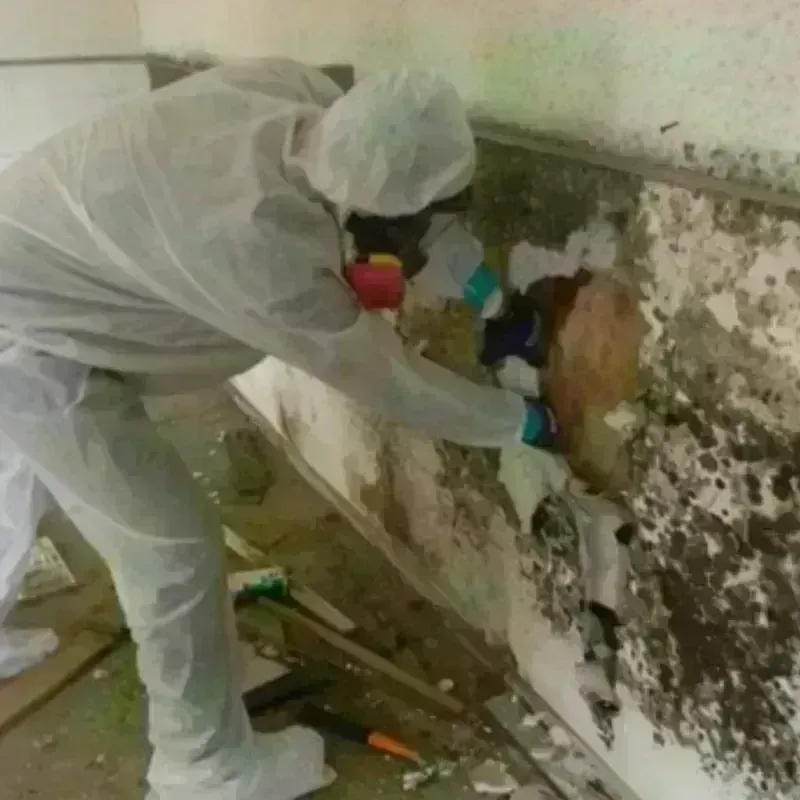 Mold Remediation and Removal in Cumberland Hill, RI